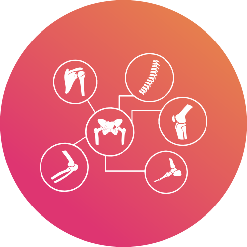 Orthopaedic & Lumbar Spine